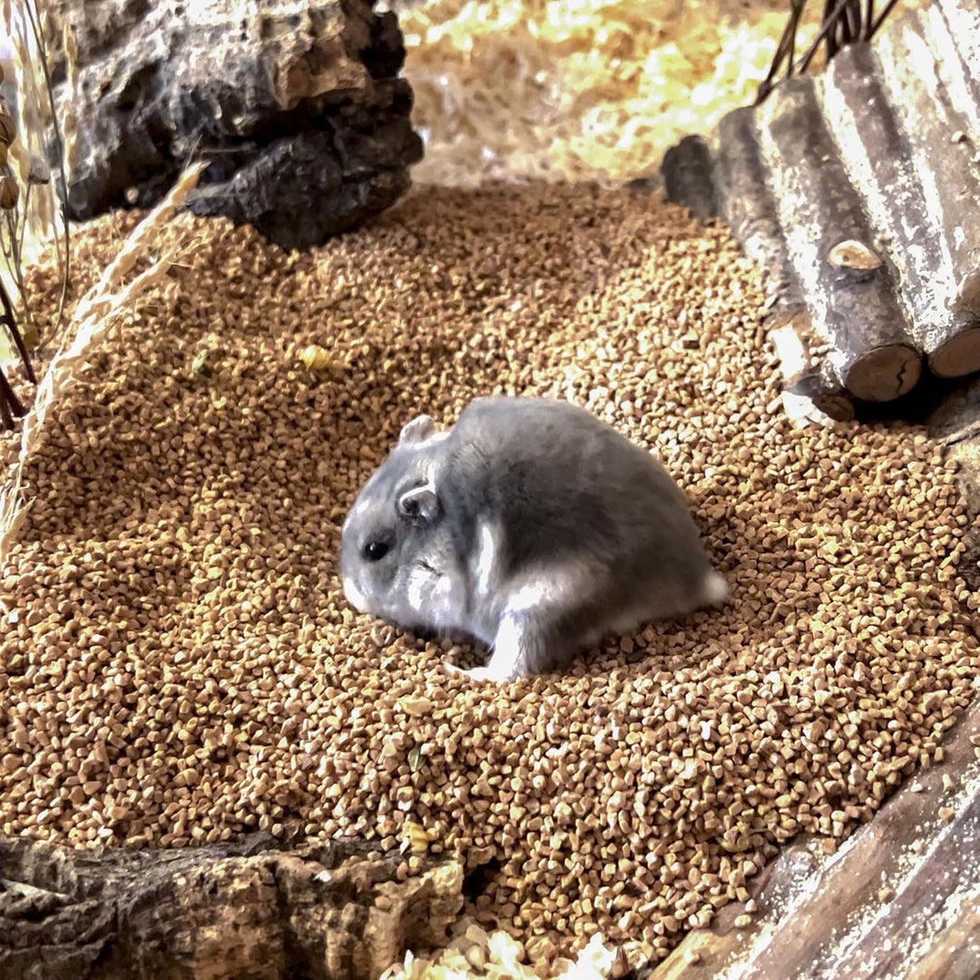 Schicker Mineral Hamsterglück Nussschalenstreu 3,5 kg, staubfreie Einstreu aus Walnussschalen, unbeh