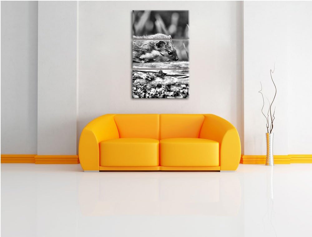 Pixxprint Frettchen auf Baumstamm als Leinwandbild/Grösse: 3 Teilig (120x80) / Wandbild/Kunstdruck/f