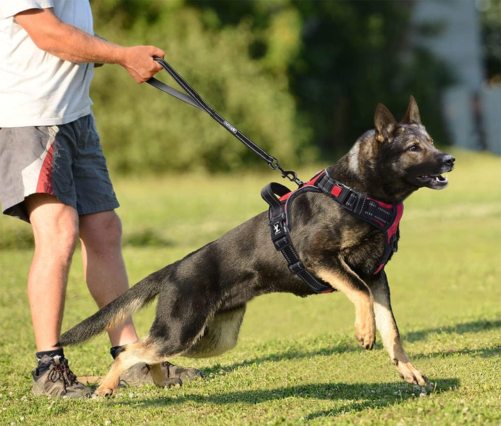 PoyPet Keine Pull Hundegeschirr Front Reflektierende Pet Weste für Hunde mit Einfache Kontrolle Grif