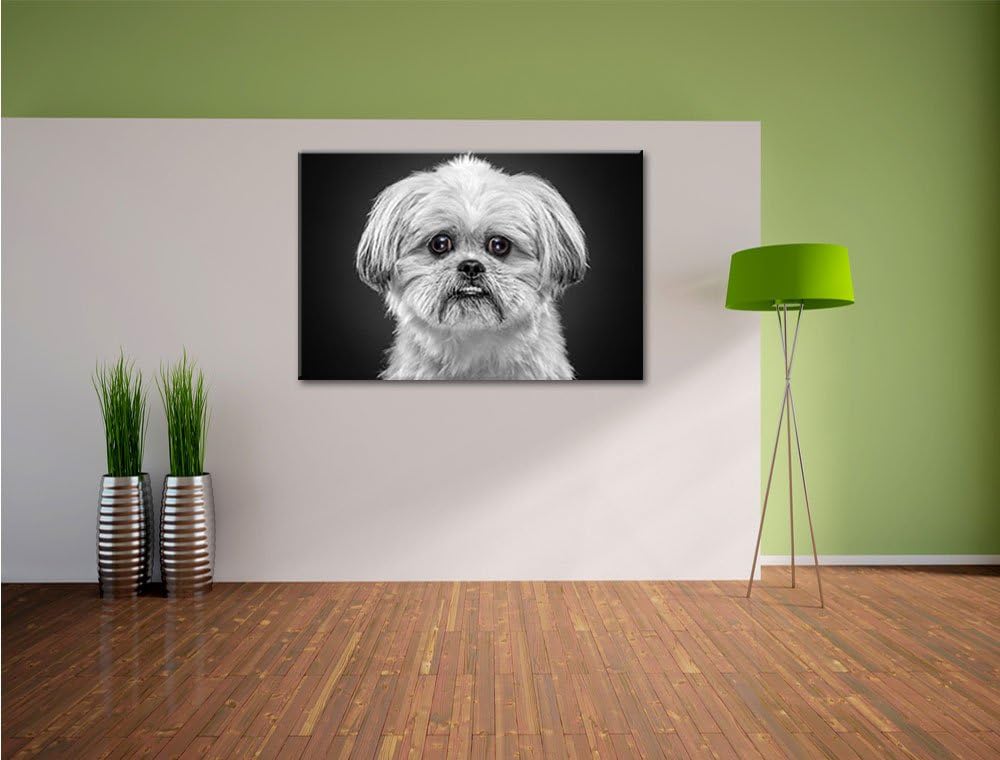 Pixxprint lustiger Kleiner Hund als Leinwandbild/Grösse: 100x70 cm/Wandbild/Kunstdruck/fertig bespan