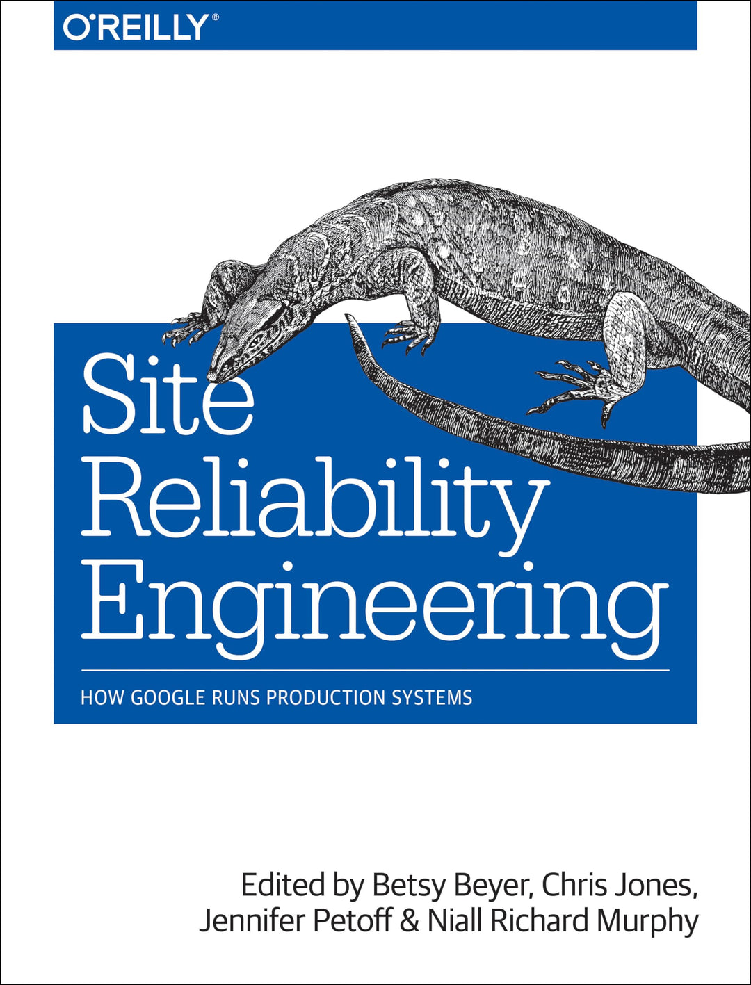 Site Reliability Engineering: How Google Runs Production Systems, Taschenbuch