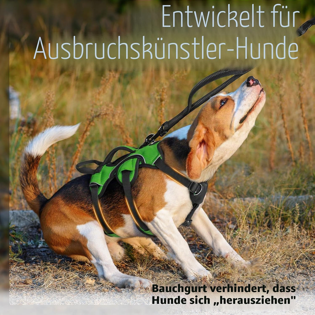 rabbitgoo Ausbruchsichere Hundegeschirr Kleine Hunde mit Griff, Anti Zug Sicherheitsgeschirr Hund At
