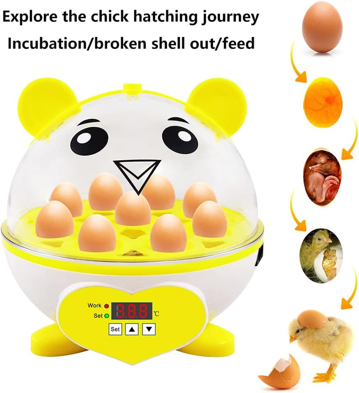 PAIDUOJI Home Use 9 Eier Inkubator Automatische Temperaturregelung Digitale Mini-Eierbrut Automatisc
