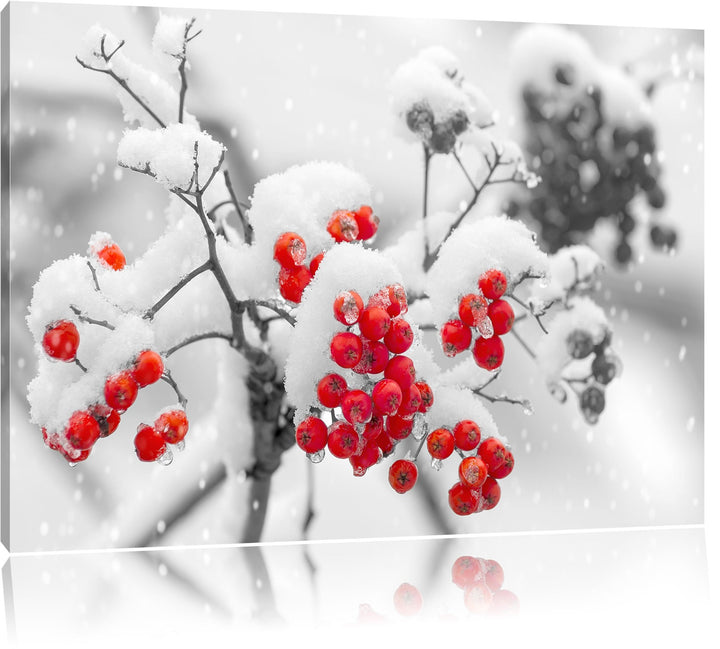 Rote Vogelbeeren im Winter schwarz/weiss Format: 100x70 auf Leinwand, XXL riesige Bilder fertig gera