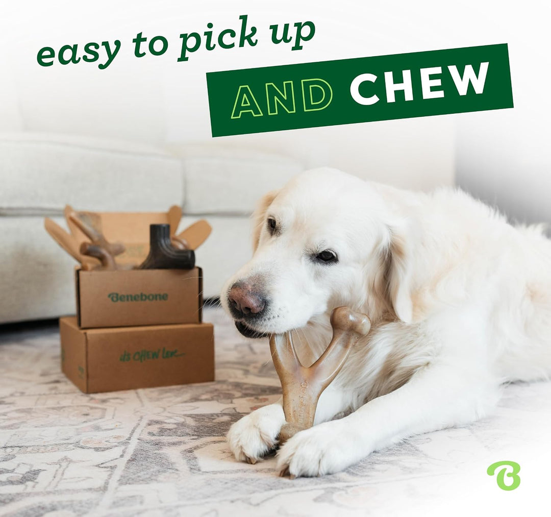 Benebone Durable Dog Chew Toy Box for Aggressive Chewers with Wishbone, Fishbone, Stick & Zaggler, M
