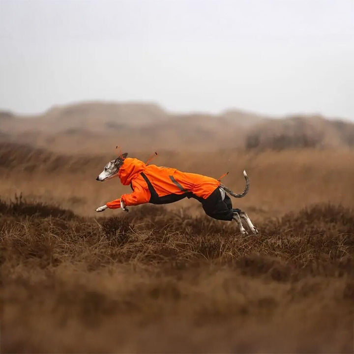 Non-Stop Dogwear Fjord Regenmantel Overall, Reflektierend, Orange-Schwarz, Wasserdichter Hundemantel