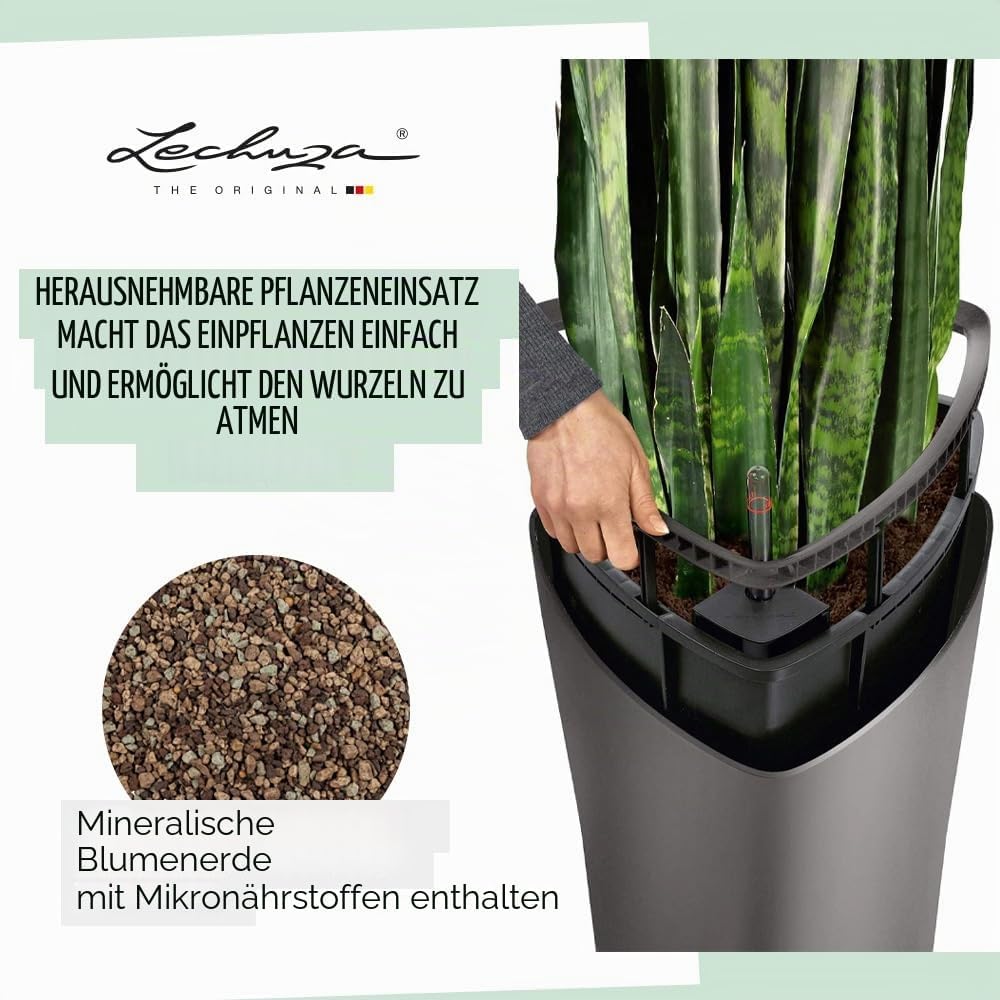 LECHUZA DELTA Premium 40 anthrazit metallic 15543 Anthrazit Metallic 39x39x75.5 cm Single, Anthrazit