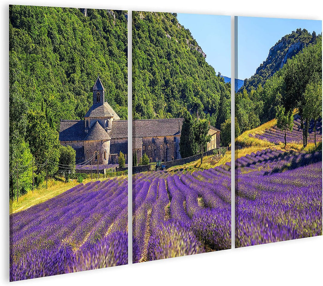 islandburner Bild auf Leinwand Blühendes Lila Lavendelfeld In Der Abtei Senanque In Gordes Provence