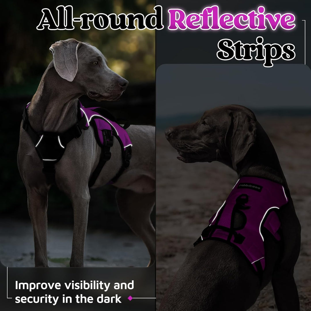 rabbitgoo Ausbruchsichere Hundegeschirr Grosse Hunde mit Griff, Anti Zug Sicherheitsgeschirr Hund At