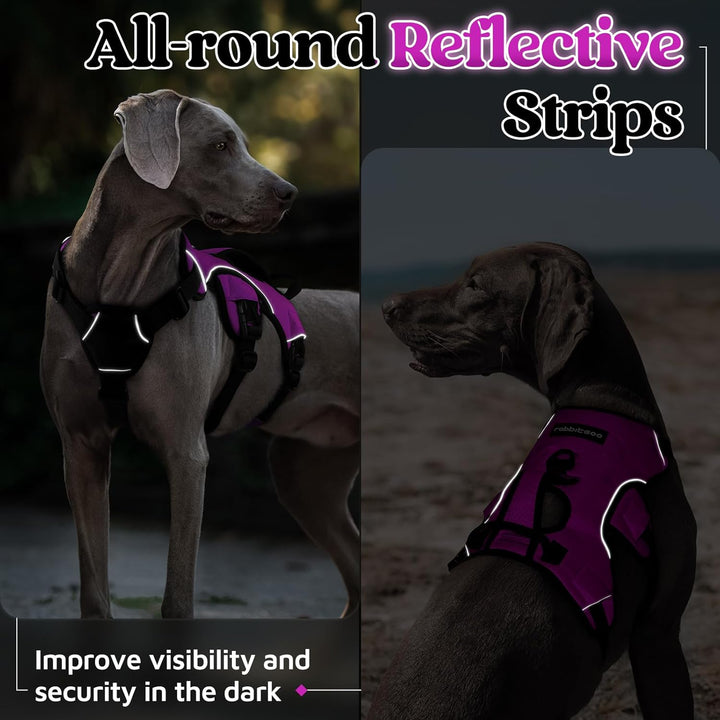 rabbitgoo Ausbruchsichere Hundegeschirr Grosse Hunde mit Griff, Anti Zug Sicherheitsgeschirr Hund At