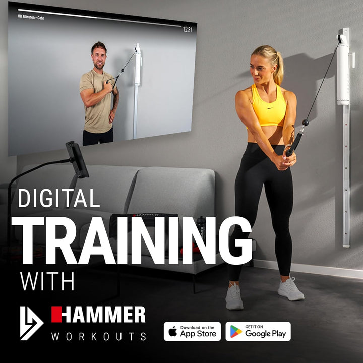 HAMMER Finnlo Kraftstation CablePull, Kabelzug-Trainer, 6 Widerstandsstufen, 146 cm Profi-Seilzuglän