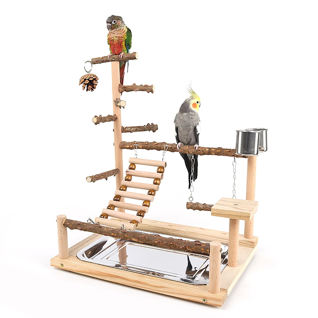 RoseFlower Vogelspielplatz Papageien Spielplatz, Naturholz Vogel Spielständer mit Feeder Cups Leiter