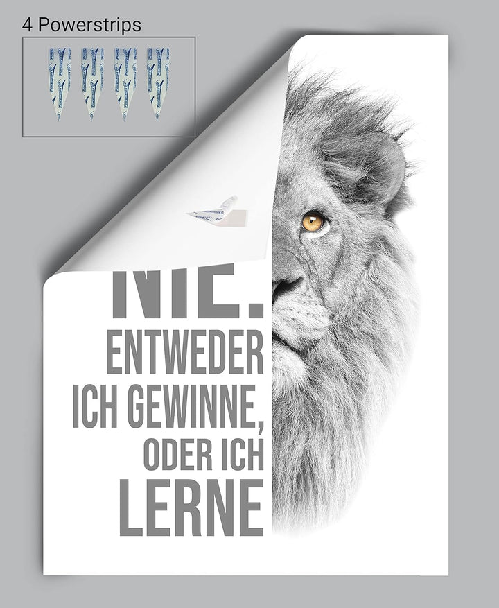 wandmotiv24 Poster als Wanddeko, Grösse 80x60cm, ich verliere nie, Weiss, Löwe, Moderne Wanddeko, Wa