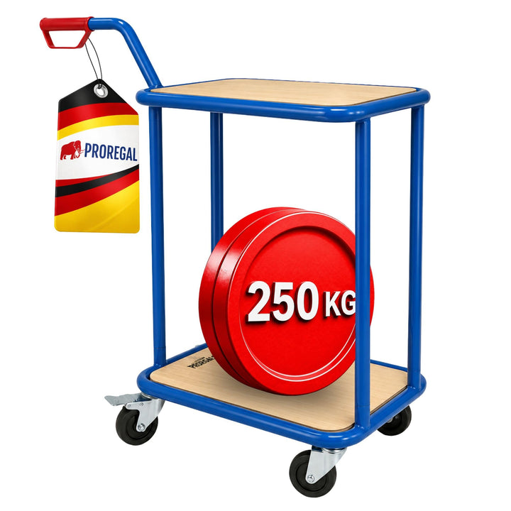PROREGAL Profi Griffroller 2 Ebenen 102x50x60 cm Traglast 250kg Transportroller mit Griff 2X Lenkrol