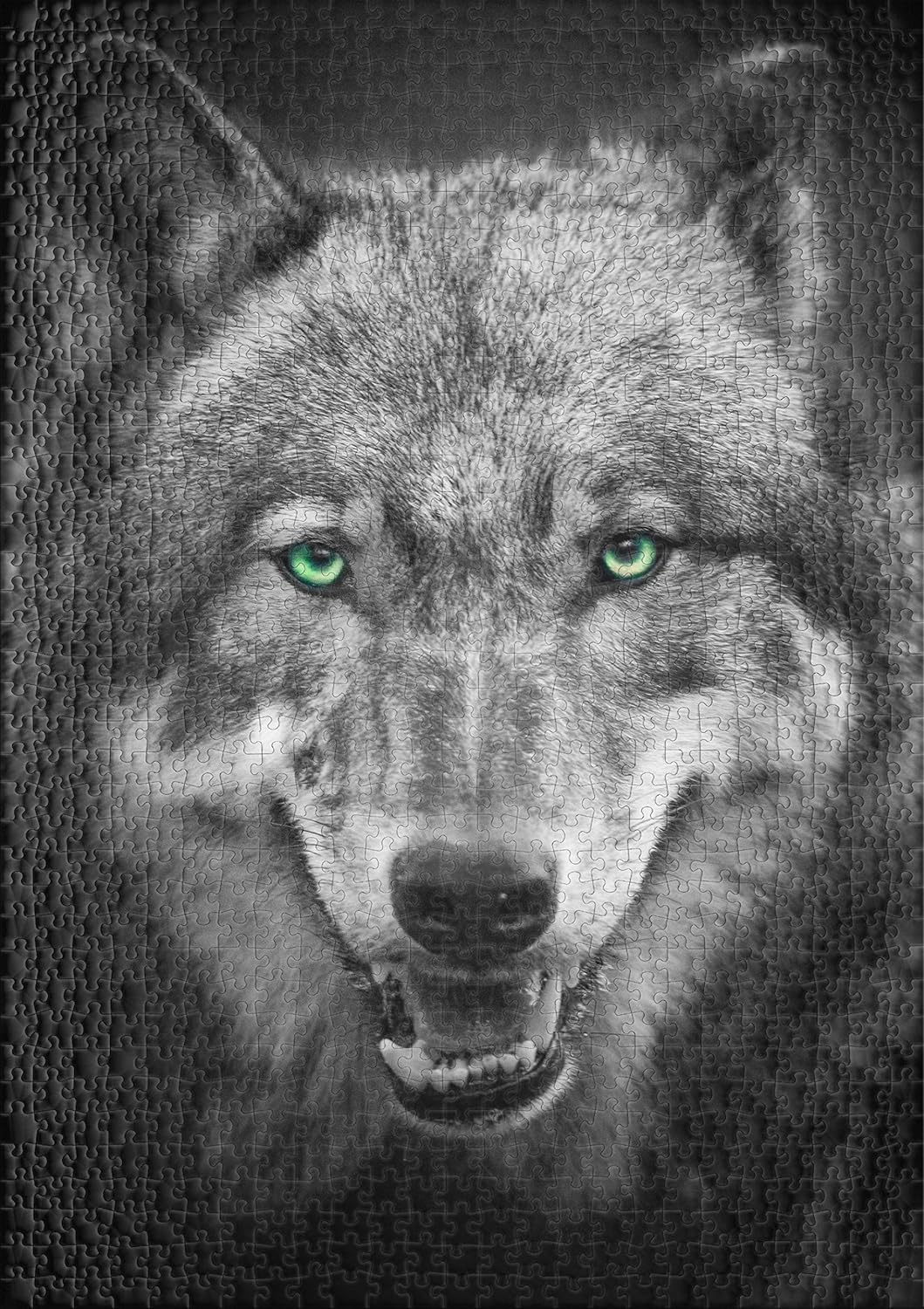 Ulmer Puzzleschmiede - Wolf-Puzzle „Canis Lupus“ – Klassisches 1000 Teile Puzzle – Puzzlemotiv Graue