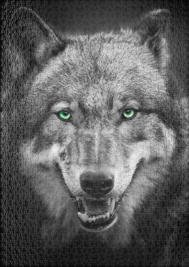 Ulmer Puzzleschmiede - Wolf-Puzzle „Canis Lupus“ – Klassisches 1000 Teile Puzzle – Puzzlemotiv Graue