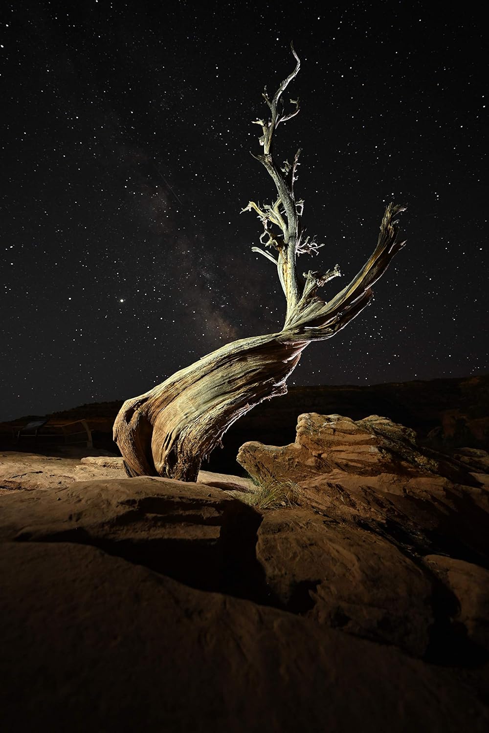 NIKON Z 7II KIT 24-70 mm 1:4 S + FTZ Objektivadapter, Z 7II KIT 24-70 mm 1:4 S + FTZ Objektivadapter