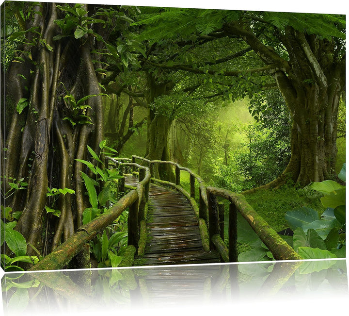 Pixxprint Weg durch den Tropenwald / 100x70cm Leinwandbild bespannt auf Holzrahmen/Wandbild Kunstdru