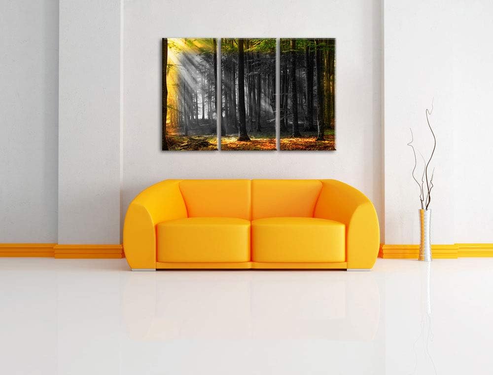 schöner Märchenwald bei Mittagssonne schwarz/weiss 3-Teiler Leinwandbild 120x80 Bild auf Leinwand, X