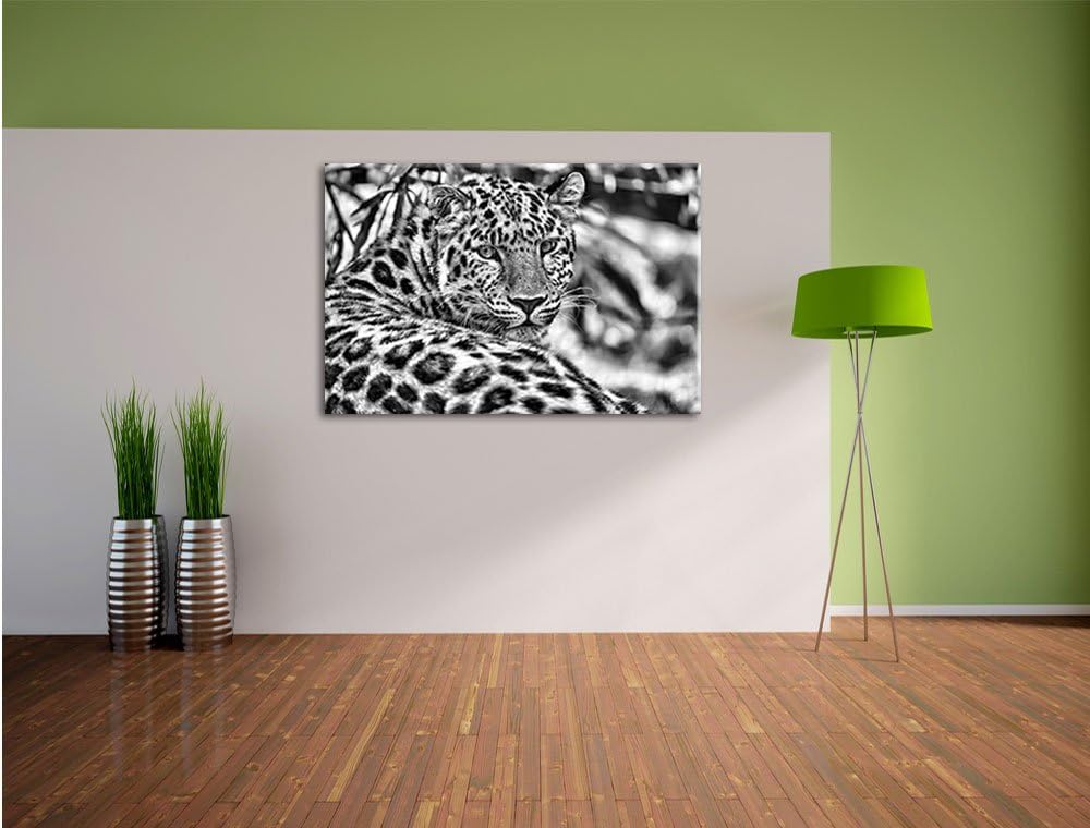 Pixxprint aufmerksamer Leopard im Schatten als Leinwandbild/Grösse: 100x70 / Wandbild/Kunstdruck/fer