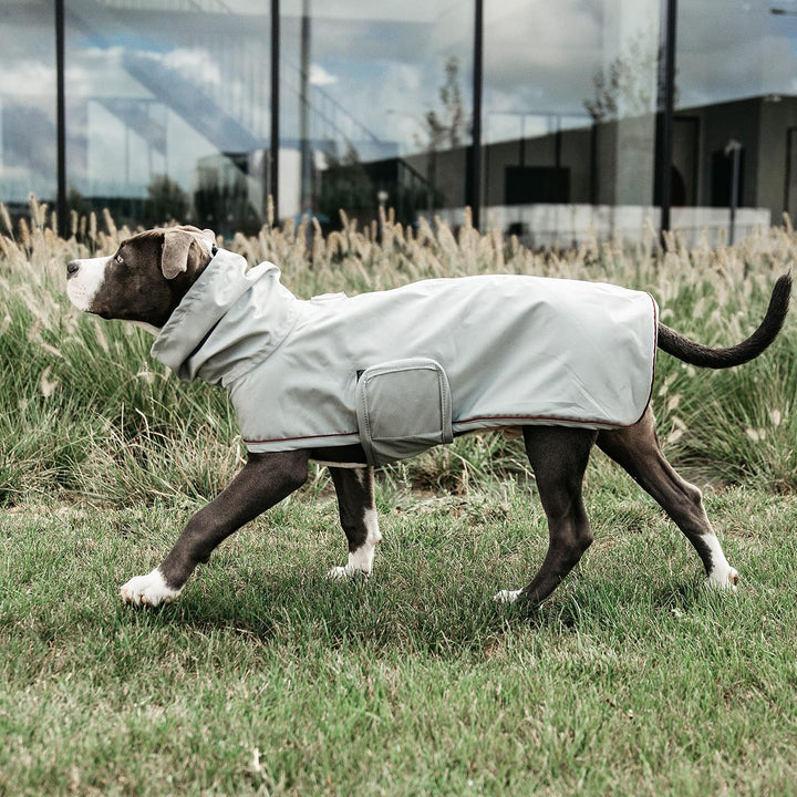Kentucky Hunde Regenjacke Farbe Reitbekleidung Dusty Blue, Grösse S S dusty blue, S dusty blue