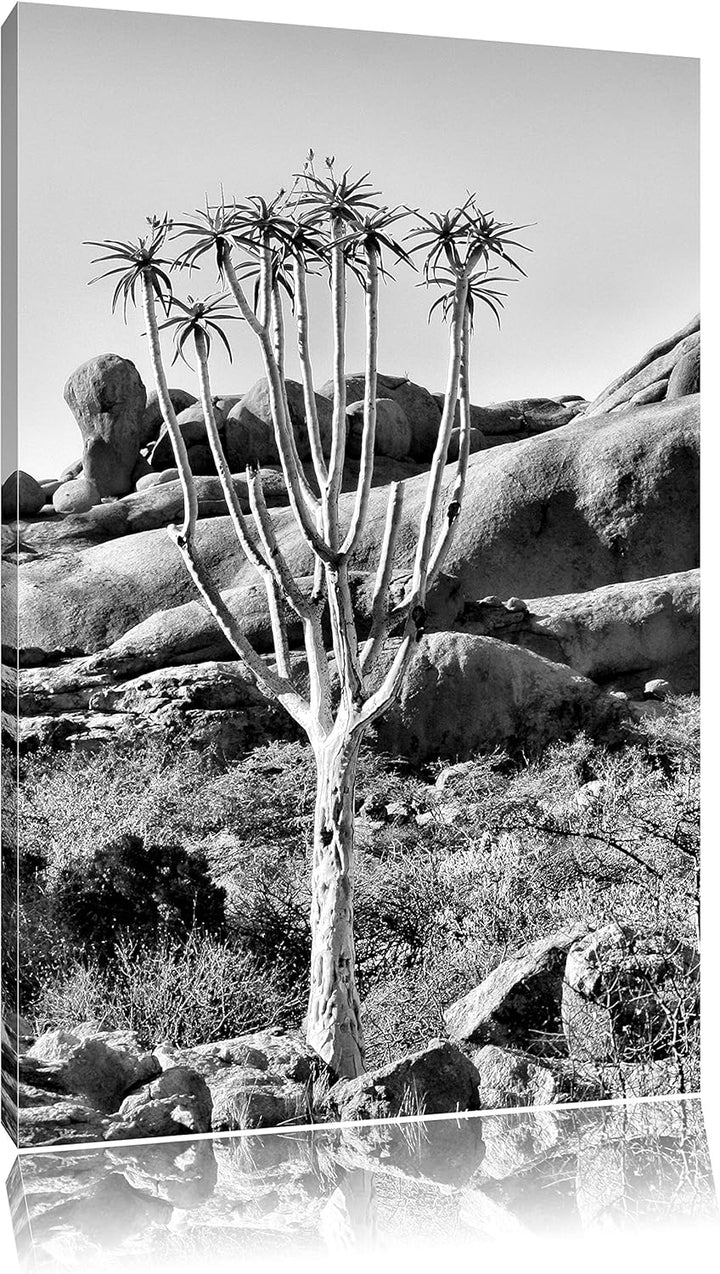 Pixxprint Monocrome, aussergewöhnlicher Baum im Steingebirge, Format: 100x70 auf Leinwand, XXL riesi