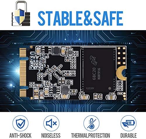 Dogfish SSD M.2 2242 250GB Solid State Drive Ngff Internen Desktop Computer 6Gb/s High Performance F
