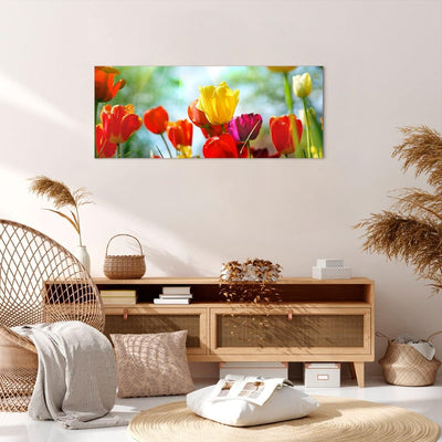 Panorama Bilder auf Leinwand 100x40cm Leinwandbild Tulpe Blume Plantage Wiese Gross Wanddeko Bild Sc