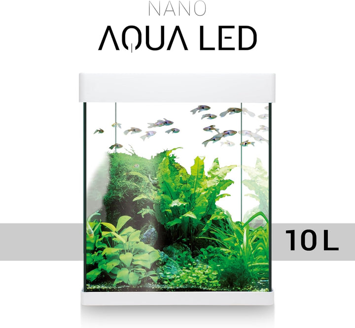ICA KNA10 Nano Aqua Led Crystal Aquariumset, 10 Liter Weiss 10 LITROS (Pack of 1), Weiss 10 LITROS (