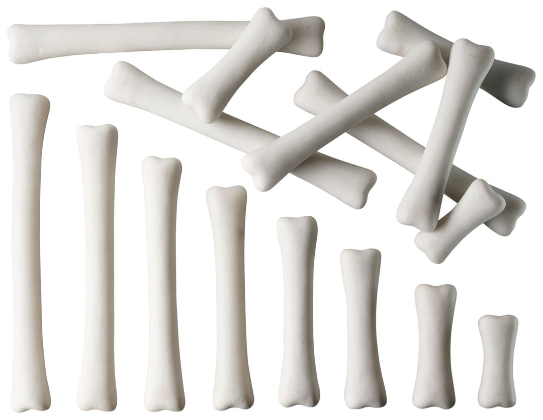 Yellow Door YUS1033 Dinosaurier-Knochen-Set, Misch- und Mess-Set