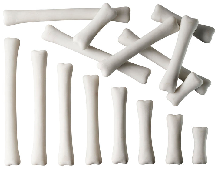 Yellow Door YUS1033 Dinosaurier-Knochen-Set, Misch- und Mess-Set