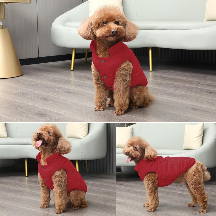 Mit Fleece gefütterte Hundejacke mit 2 Schichten von JoyDaog, sehr warm für den Winter und kaltes We