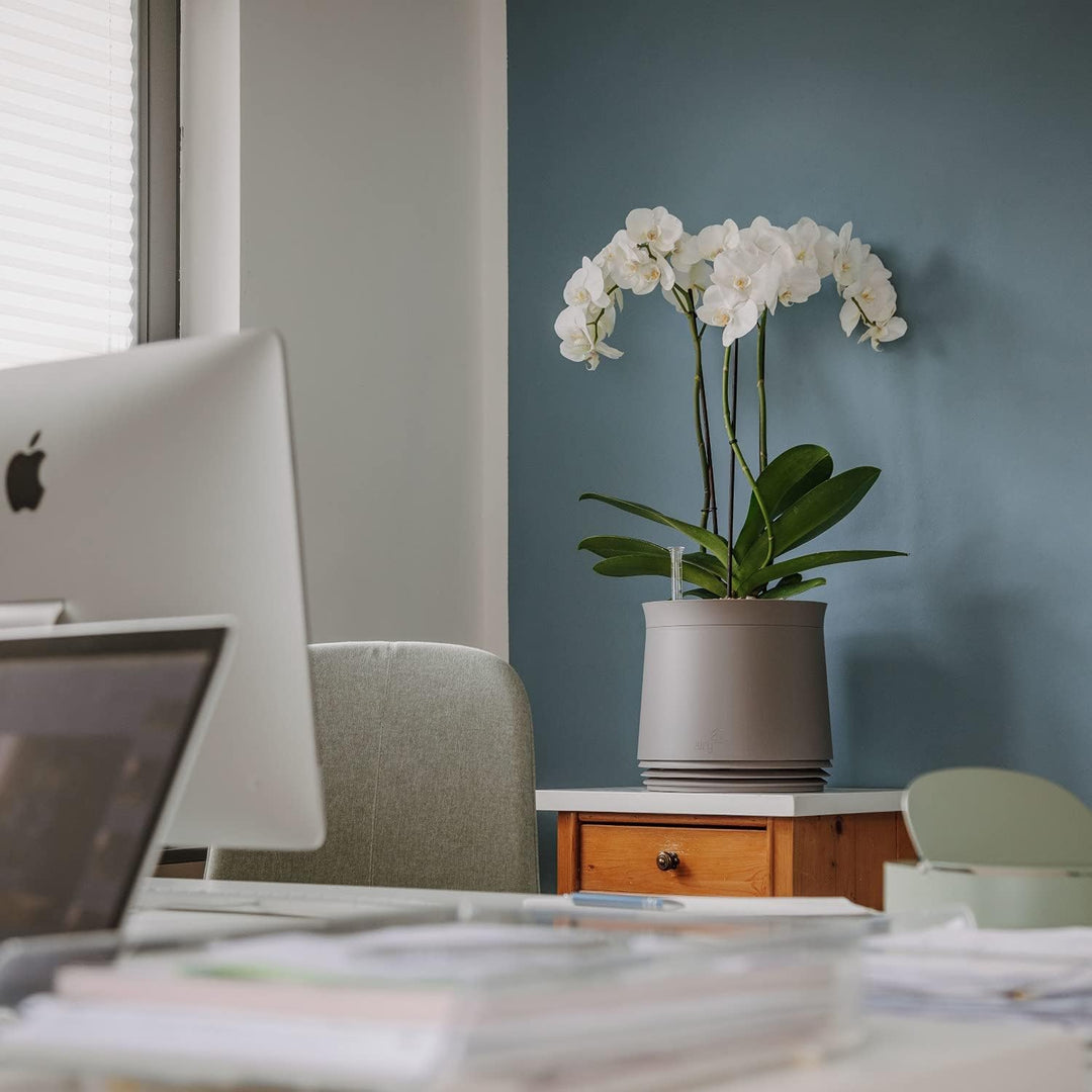 AIRY System M mit 6L Airy Base Substrat • Biologischer Luftreiniger filtert Schadstoffe, Allergene &