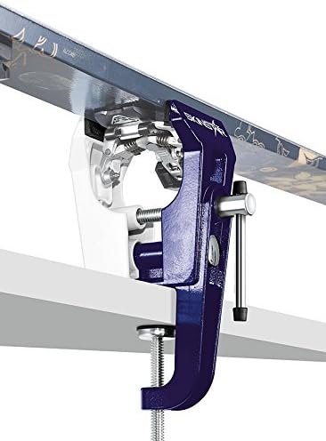 SkinStar Racing Ski Vise Skispanner - Skihalterung Plus World Cup