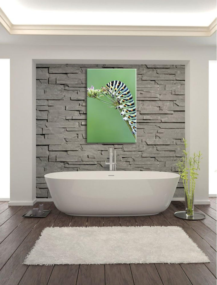Pixxprint Grüne Raupe auf AST Insekten Urwald Tiere, Format: 100x70 auf Leinwand, 100x70