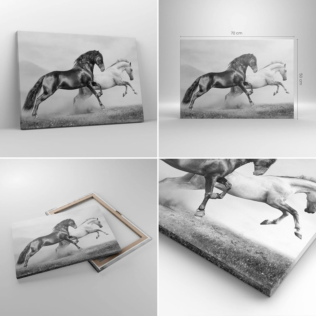 Bilder auf Leinwand Pferde Tiere Galopp Wiese Leinwandbild 70x50cm Wandbilder Dekoration Wohnzimmer