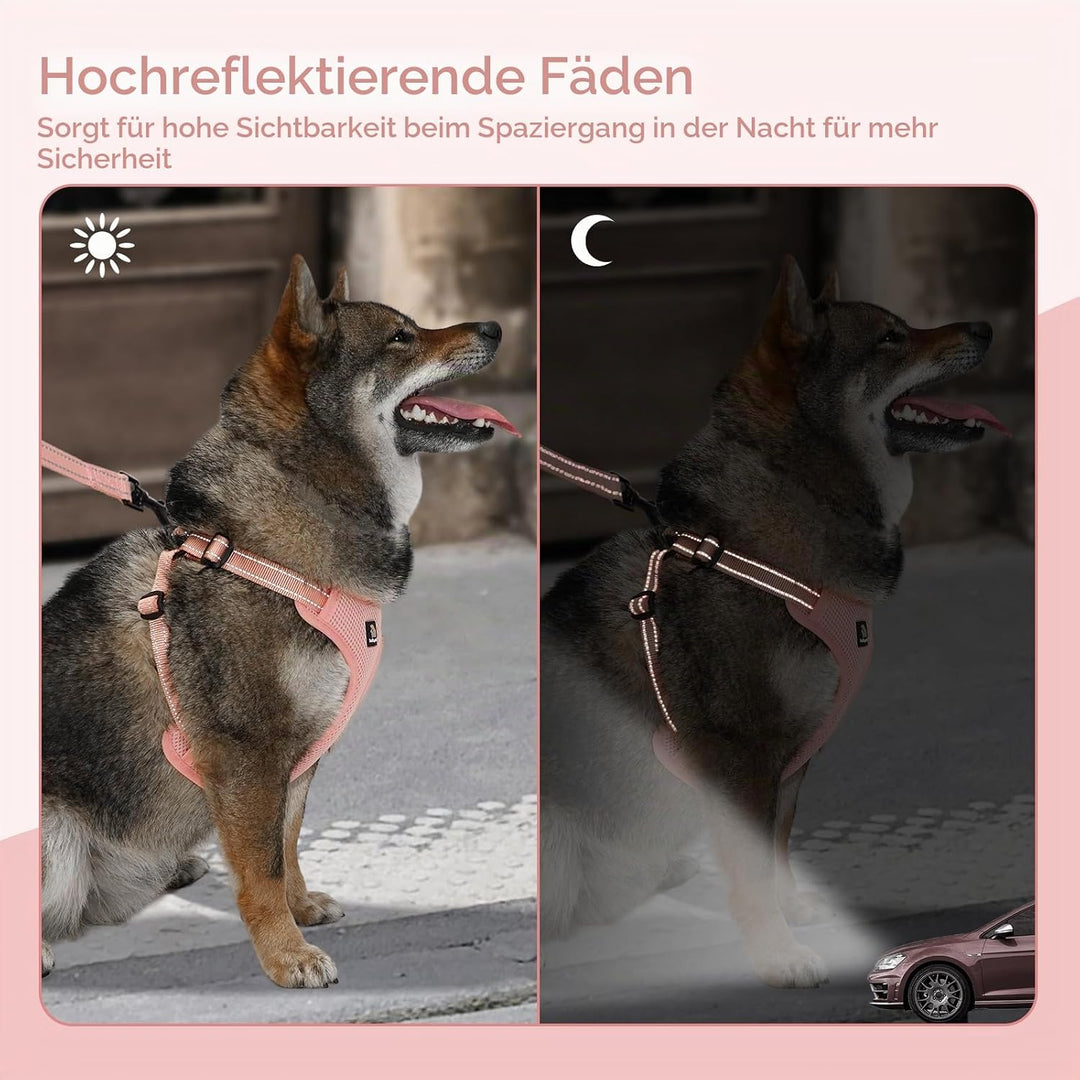 BELLA &amp; PAL Hundegeschirr und Leine Set, Step-in Design mit atmungsaktivem Air-Mesh, reflektierenden