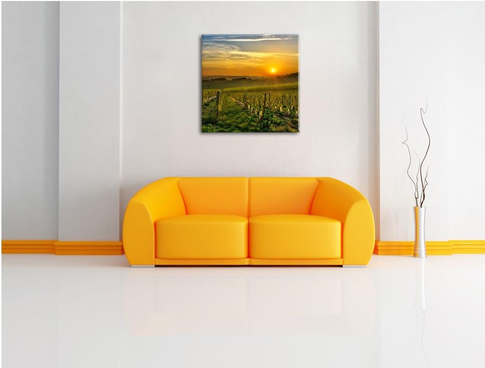 Pixxprint Weinberg in Bergerac Frankreich, Format: 70x70 auf Leinwand, 70x70