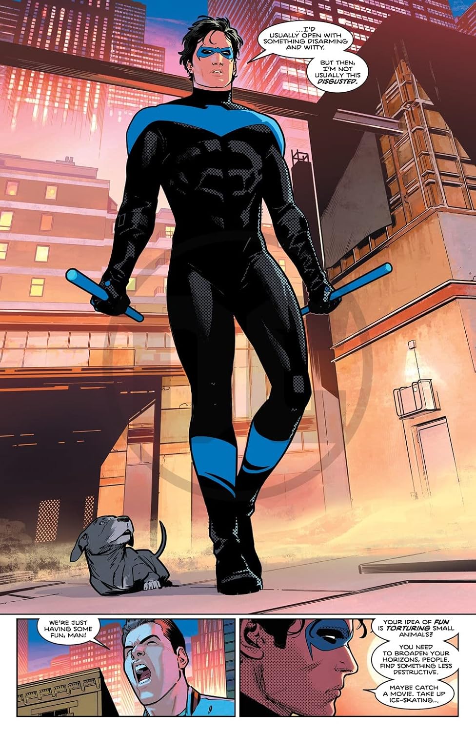 Nightwing Vol.1: Leaping into the Light, Gebundenes Buch