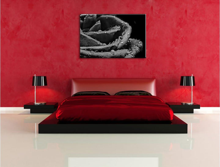 Pixxprint Tropfen auf roter Rose als Leinwandbild | Grösse: 100x70 | Wandbild| Kunstdruck | fertig b