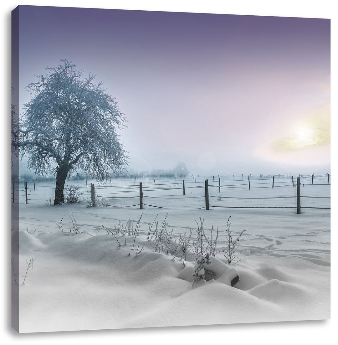 Pixxprint Baum in Winterlandschaft als Leinwandbild Quadratisch| Grösse: 70x70 | Wandbild| Kunstdruc