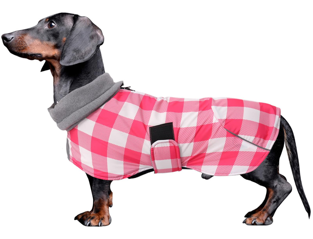 MOREZI Hundejacke ist eine wasserdichte, mit Fleece gefütterte Hundewinterjacke mit verstellbarem Gü