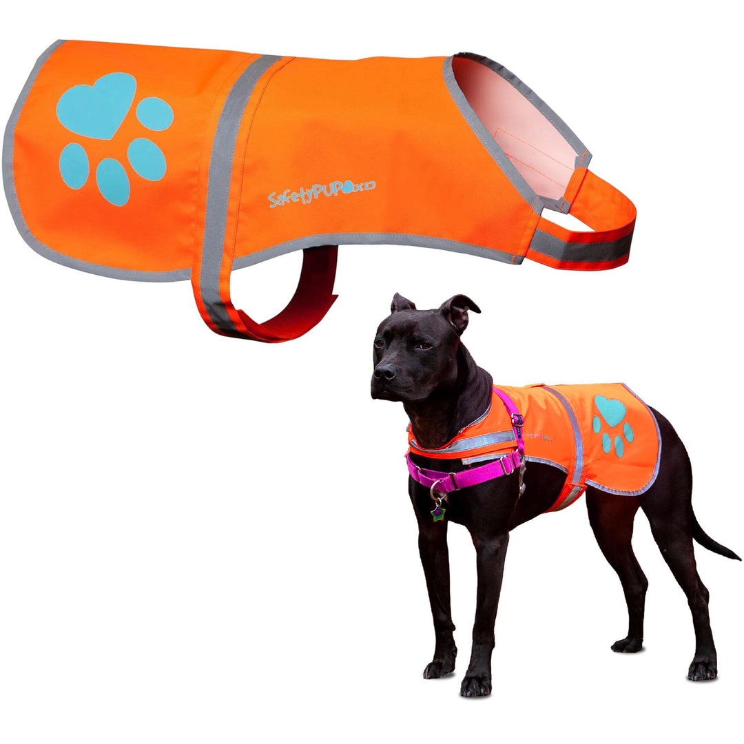 SafetyPUP XD Hund Warnweste, Grössen passen Hunde 14 lbs bis 130 lbs Blaze Orange Gross, Groß