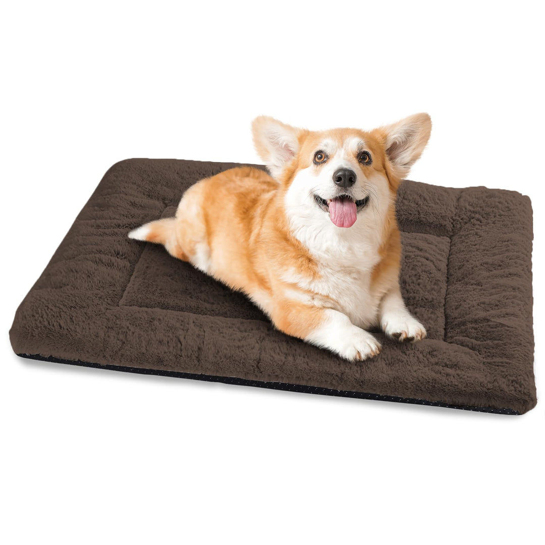 Baodan Hundebett Kleine Hunde Waschbar, 75x50 cm Hundekissen Flauschig mit rutschfeste Unterseite, H