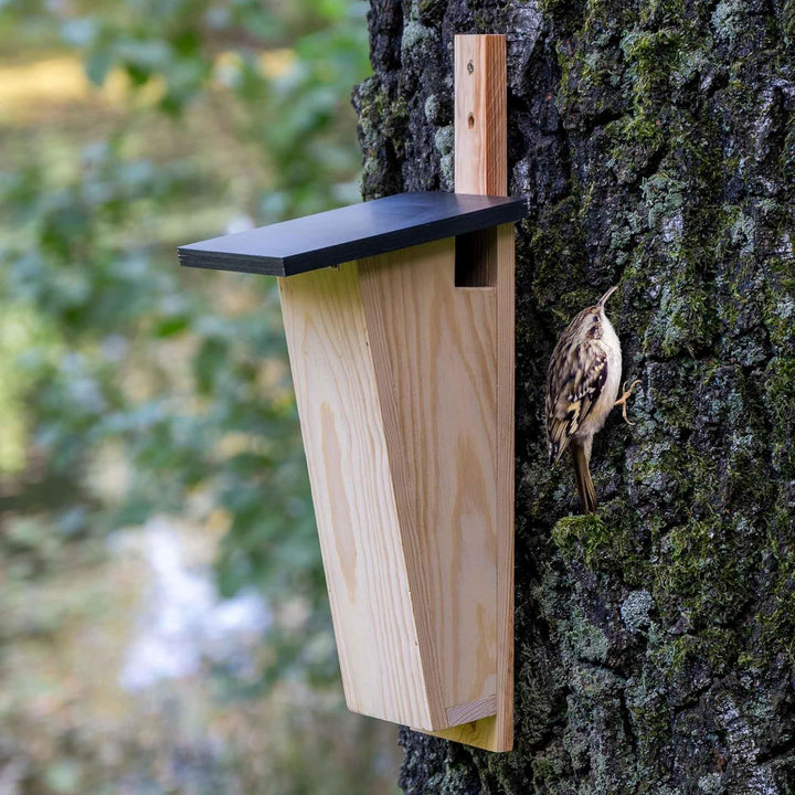 dobar® Spezial-Nistkasten für Baumläufer - Vogelbrutkasten zum Aufhängen - 14 x 17 x 35 cm - Kiefer