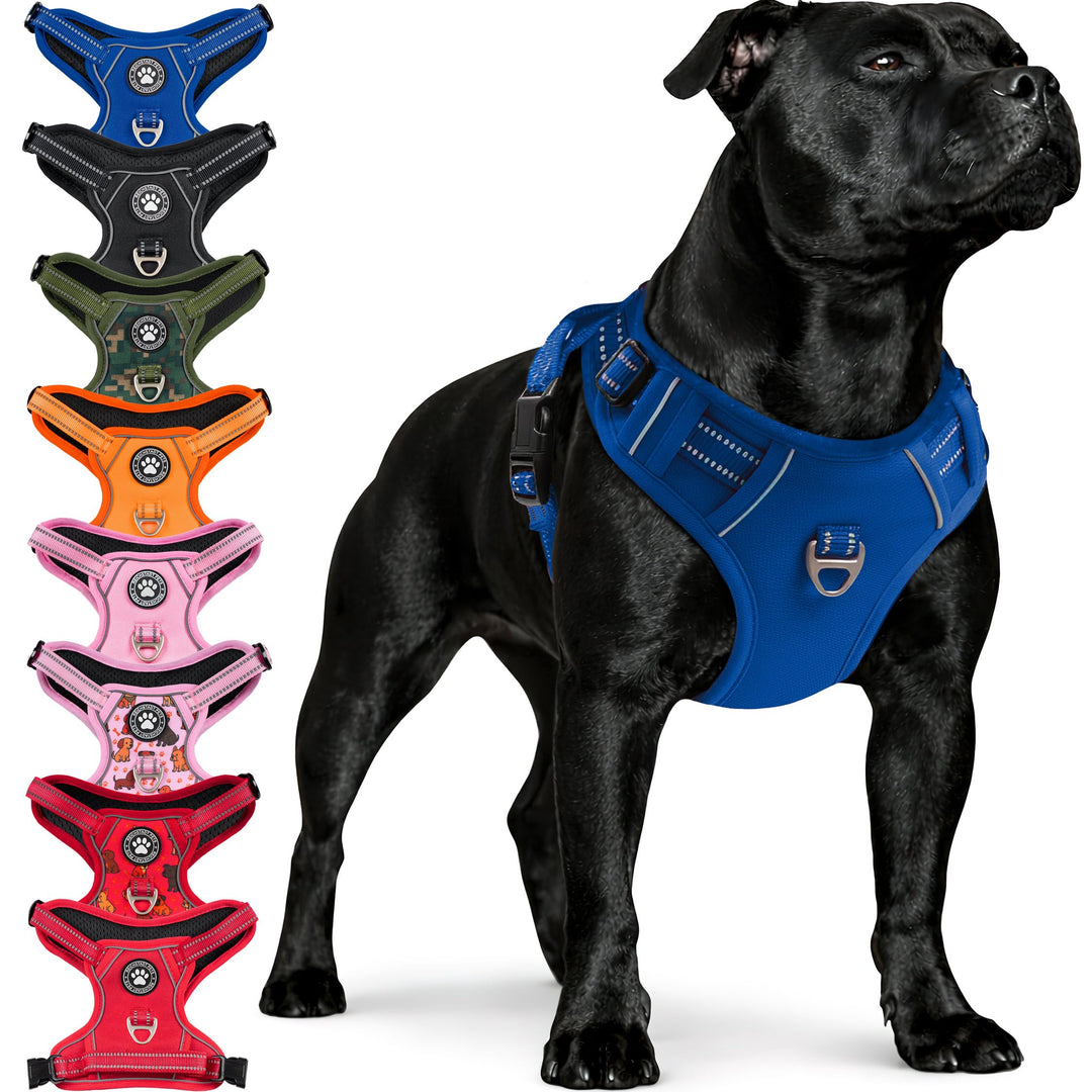 Reichstadt Pets Hundegeschirr Kleine Hunde 25RSP083 Blue S | Verstellbares No-Pull Geschirr mit Grif