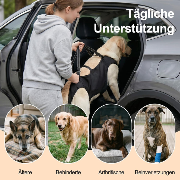 Tragehilfe Hund Gross mit Griffen Verstellbares Hundehebegeschirre, L | Treppenhilfe Hinterbeine Vor