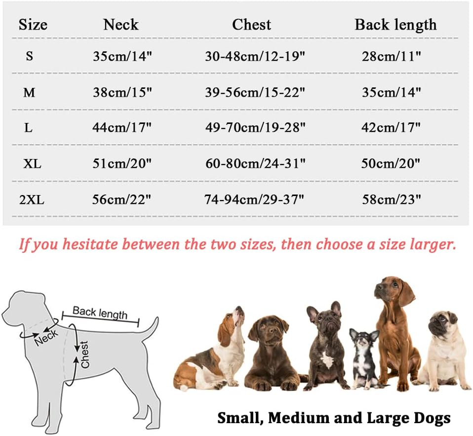Hundekühlweste Atmungsaktives Mesh Hundejacke Sommer Cooler und Komfortabler Hundemantel Verstellbar