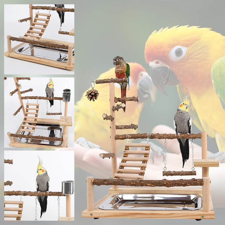 Papagei Vogelspielplatz, Wellensittich Spielzeug, Parrot Playstand, Geeignet für Eclectus, Ara, Kaka