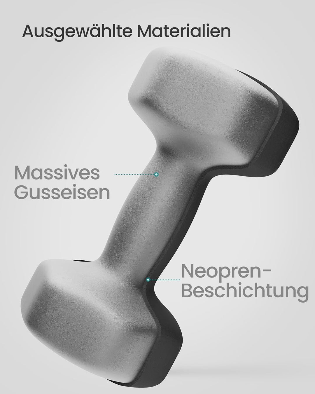 SONGMICS 2 Stück Hexagon Hanteln mit Neoprenbeschichtung für Krafttraining, Fitness, Zuhause 2 x 10